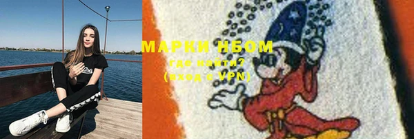 шишки Беломорск