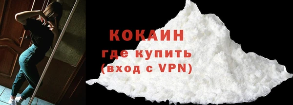 шишки Беломорск