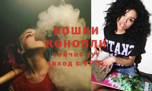 шишки Беломорск