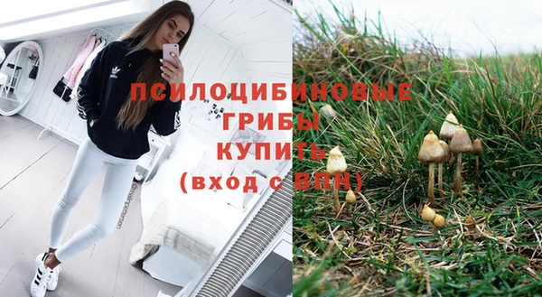 шишки Беломорск