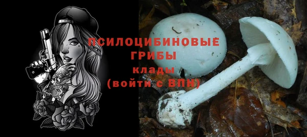 спайс Белокуриха
