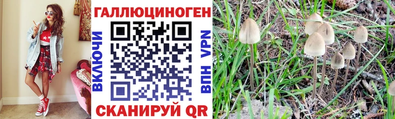 Псилоцибиновые грибы прущие грибы Гремячинск
